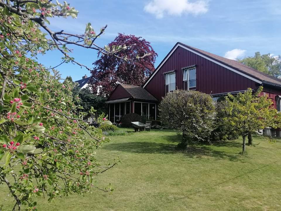 Signe Eide, spiller konsert i inne-lokalet